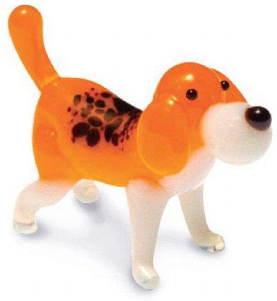 Puc - Beagle Dog